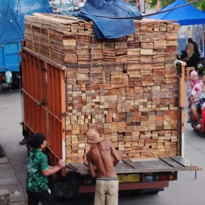 kayu (19)