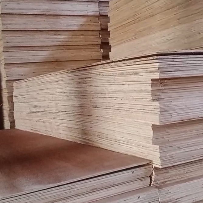 kayu sima (3)